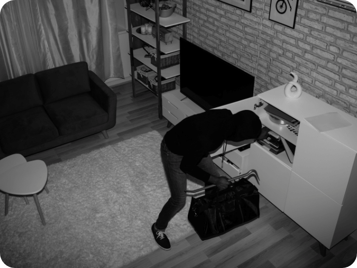 Thief caught on camera stealing form the living room at night